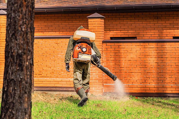 Bed Bug Clearance Verification and Documentation in Albany